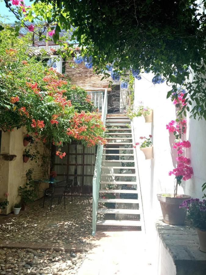 Patio Del Limonero Διαμέρισμα Κόρδοβα Εξωτερικό φωτογραφία
