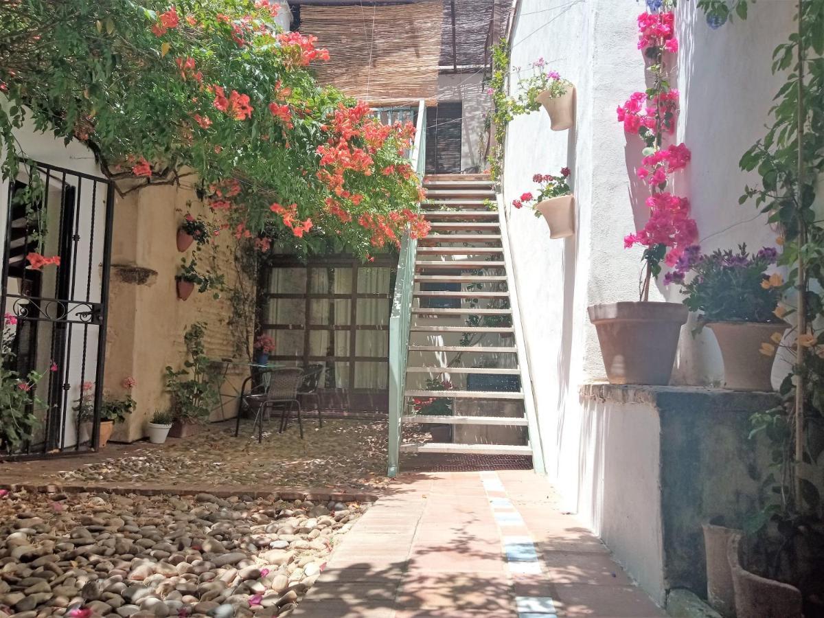 Patio Del Limonero Διαμέρισμα Κόρδοβα Εξωτερικό φωτογραφία